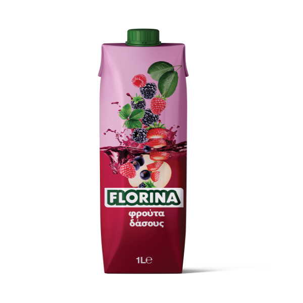 FLORINA ΧΥΜΟΣ  ΦΡΟΥΤΑ ΤΟΥ ΔΑΣΟΥΣ  1L*12Τ