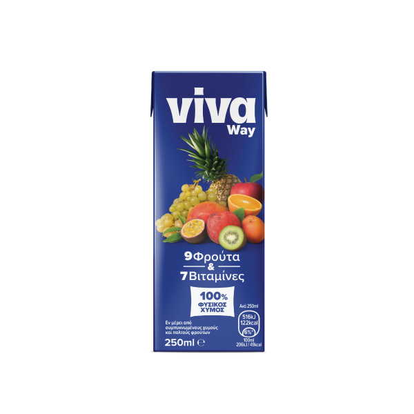ΧΥΜΟΣ VIVA Φ.Χ. EXOTIC 250ml*27ΤΕΜ
