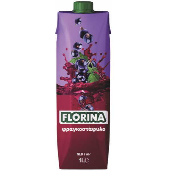 FLORINA ΧΥΜΟΣ ΦΡΑΓΚΟΣΤΑΦΥΛΛΟ 1L*12Τ