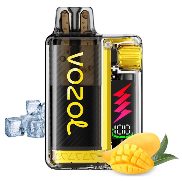 VOZOL ΣΥΣΚΕΥΗ+PODS MANGO ICE  10.000 PUFFS ME NIKOTINH