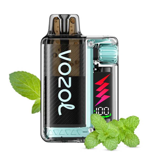 VOZOL ΣΥΣΚΕΥΗ+PODS MIAMI MINT 10.000 PUFFS ME NIKOTINH